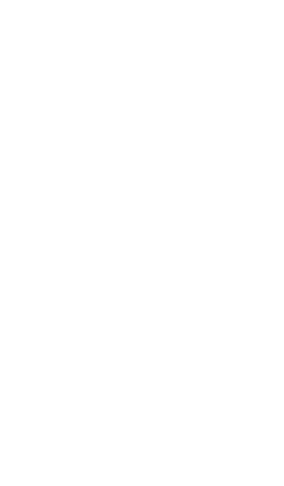 Loza Foundation
